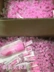 [Mua một giao hàng] Thái Lan màu dâu tây son môi dâu tây đỏ son môi đích thực màu son môi sinh viên nữ 3ce soft lip lacquer Son môi