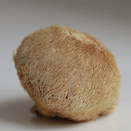 Zhao Hailing | Hai Lingshan Zhen 丨 Horizone Mushroom Dry Goods Натурально посаженные гемореей