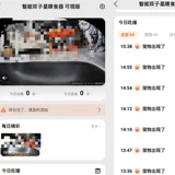 小佩 Интеллектуальная форма фидера Shuangcang Автоматическое кормление в одном