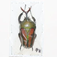 Мужской №16 48мм