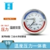 máy dò kim loại sâu Trục nhiệt độ và áp suất tích hợp đồng hồ đo WY-60Z làm nóng sàn đồng hồ đo áp suất Thượng Hải Fangjun đồng hồ đo áp suất nước 16bar áp suất không khí máy dò vàng độ sâu Thiết bị kiểm tra an toàn