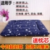 Chơi thảm sàn gấp phong cách Nhật Bản dày tatami thảm lười biếng nệm home phòng ngủ ngủ tạo tác nệm gấp 1m6 Nệm