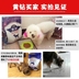 Thức ăn cho chó mục đích chung cỡ lớn chó nhỏ cỡ trung bình chó trưởng thành Jinmao Teddy Samoyed 40 con chó thức ăn chính hơn gấu 5 kg thức ăn thưởng cho chó Chó Staples