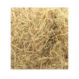 Сухая соломенная трава гнездо гнездо куриное гнездо животное волокно теплое натуральная долина трава соломенная краска Стенная поверхность декоративная диатома