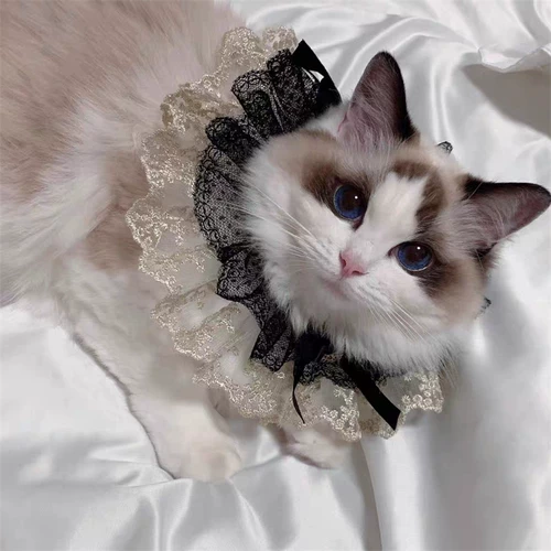 Кружевной слюнявчик, нагрудник, чокер с бантиком, милый шарф