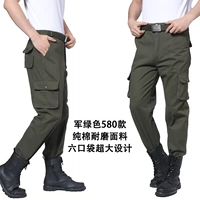 Армия зеленый 580