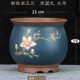 Новый Gaoma-Large-Bald Blue