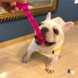 Крем, износостойкий прорезыватель, игрушка для тренировок, домашний питомец