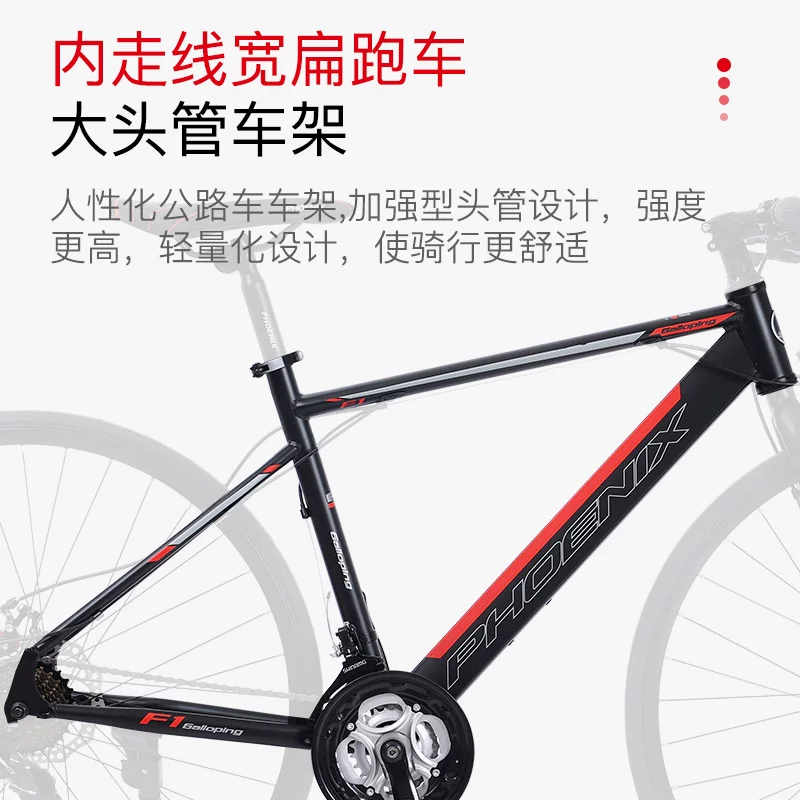 Похоже, что изначальная строка содержит брендовую и категорию: 'Phoenix, road bike, ultra light steering wheel for men and women for adults' Перевод: 'Феникс, дорожный велосипед, сверхлегкое рулевое управление для мужчин и женщин для взрослых'