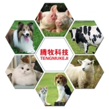 Инъекция флуорзинико розового зверя в инъекции бенниса, свинины, коры, кашера, кашля, пневмона, пневмона, пневмона, пневмона, пневмонического пневмонического пневмонического пневмонианцев