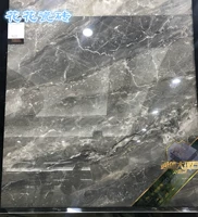 Легкая роскошная ионная кузов мраморная плитка 800x800