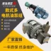 Bộ bơm dầu động cơ thủy lực 0.75KW/1.5KW/2.2KW kèm cụm bơm dầu thủy lực VP20/VP40 Phần cứng cơ điện