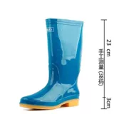 Весна и осень подлинная задняя сила