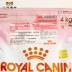 Royal Royal Cat Food Food Cake BC34 Vắt sữa Mèo Mẹ mang thai Mèo Thực phẩm 4Kg - Cat Staples