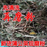 Традиционная китайская медицина материалы для одуванчика порошка мать -в -устав