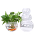 Cây thủy canh chai thủy tinh màu xanh lá cây thủy canh lớn dày hoa chậu thủy tinh bóng nước bể cá container - Vase / Bồn hoa & Kệ chậu cây trong nhà Vase / Bồn hoa & Kệ