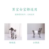 Десять цветов собак, подгузников собак, суковых брюк, менструальная моча не намочить брюки с пленками