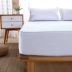 Bông giường, mảnh duy nhất 100% cotton chần Simmons bảo vệ bìa dày non-slip mỏng nệm bìa giường bìa bộ Trang bị Covers