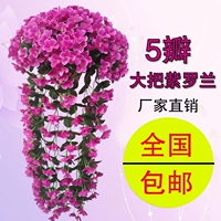 Mô phỏng Violet hoa giả lớn hoa cẩm tú cầu treo hoa lan nhựa hoa nụ hoa ban công mây trang trí đám cưới - Hoa nhân tạo / Cây / Trái cây bình hoa hồng giả đẹp