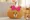 Búp bê gấu nâu LINE Gối đồ chơi Ragdoll Doll Bạn gái dễ thương Tanabata Quà tặng ngày Valentine - Đồ chơi mềm