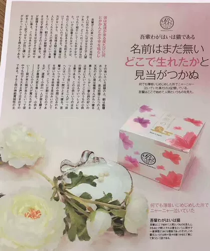 Япония BPC Tongyan таблетки Peikou затоглили законодательство о законе коллагена слоя