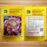 Гамбургские кремовые кофейные овощи и семена салата пурпурно -листья семян тепло -устойчивый