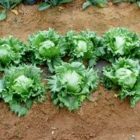 Оригинальный, 10 грамм