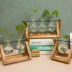 Bình thủy canh sáng tạo khung gỗ cây xanh thủy tinh phòng khách hoa nhỏ container văn phòng máy tính để bàn trang trí trang trí - Vase / Bồn hoa & Kệ