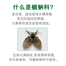 Репелленты 日本金鸟kincho浴室厨房下水道小飞虫杀虫剂泡沫喷雾驱虫母婴可用