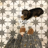 Французская ретро черно -белая плитка кухня ресторан туалетная плитка туалетная ванная комната настенная плитка кирпич двор балконы балконы плитка