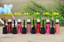 Mary Kay Jing Run Lip Gloss Powder Crystal Moisturising Moisting Lasting Bites Lip Not Decolorizing Lip Gloss Lip Gloss Lipstick Lipstick Chính hãng son môi bóng	 Son bóng / Liquid Rouge
