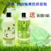 François cherry body bath bộ chăm sóc cherry blossom gel tắm sữa cơ thể sạch nuôi dưỡng dịu dàng kiểm soát da dầu sáp khử mùi Điều trị cơ thể