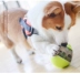 Con chó đồ chơi cốc rò rỉ thực phẩm bóng con chó đồ chơi giáo dục mèo tiêu hóa con chó cho ăn thiết bị bông thực phẩm chậm chạp banh đồ chơi cho chó Mèo / Chó Đồ chơi