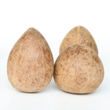 Индийский кокосовый император маленький кокосовый волны свежие