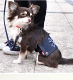 Daoge Pet цивилизованный пояс Мужской собака Физиологические брюки против лиссийных брюк брюки Труды Лояльная лента