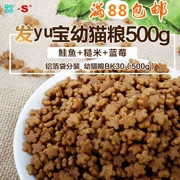 [Full 88] Đài Loan phát triển Công thức mới cho thức ăn cho mèo 500G - Gói Singular