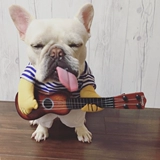 Смешная одежда Бэгола, домашняя собака, гитарист становится смешной фанатикой смешной, Джи Цзе, одежда жирная