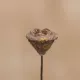 Один за другим, ветвь, 50 см