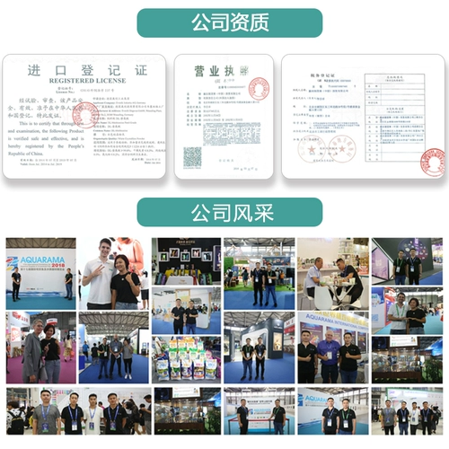 Литье -агент Poultry использует подлинные звери для добавления кормового грибкового токсина для разложения витамина эмманро витамина