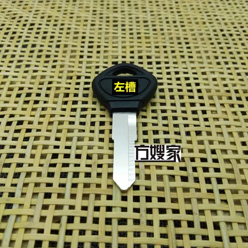 FS203 Применимо Jiao Qianjiang King Электромобиль Ключевой Эмбрион Эмбрион Фанг Сюн Дом