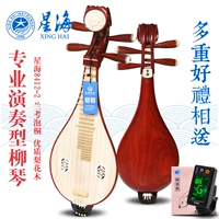 Bắc Kinh Xinghai Rosewood Qingshui Liuqin 8412-2 Redwood Liuqin Nhạc cụ quốc gia Gửi phụ kiện dây mua sáo