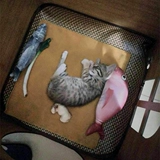 Мятная игрушка, плюшевая подушка, мятный комплект, кот, котенок