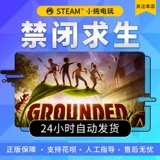 Steam подлинный ПК китайский игровой группировку Запрещенное выживание становится приключением злодея