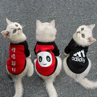 Douyin, та же собачья одежда, весенняя одежда тонкая плюша Bomei Spring Clothing Pet Puppy Puppy Card Card