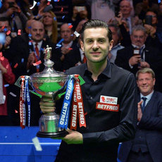 Аксессуары для бильярда 【会员专享】收藏斯诺克世锦赛奖杯丁俊晖奥沙利文台球室会所装饰