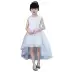 Cô gái công chúa mẫu váy catwalk đuôi váy cưới váy pettiskirt trẻ em váy mới trong váy trẻ em lớn - Váy trẻ em Váy trẻ em