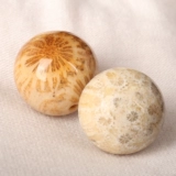 Естественно, не оптимизируя коралловый нефритовый хризантемный камень