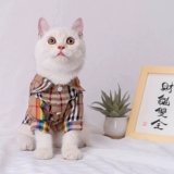 Кошачья одежда Summer Thin Tide Brand Brand Teddy Dog маленькая рубашка для собак анти -хаор сетка