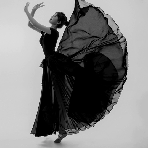 Классическая танцевальная одежда Женская элегантная 720 градусов большая юбка фото танец половина -куба юбка современная танцевальная марля