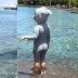 Bộ đồ bơi một mảnh của Shark 4 cho trẻ em 2 bộ phim hoạt hình dễ thương 3 bé trai và bé gái cho bé 1 kỳ nghỉ hè suối nước nóng